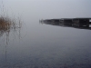  Misty calm                              